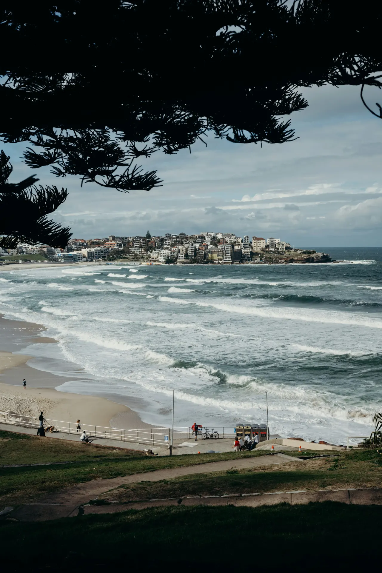 Bondi Beach